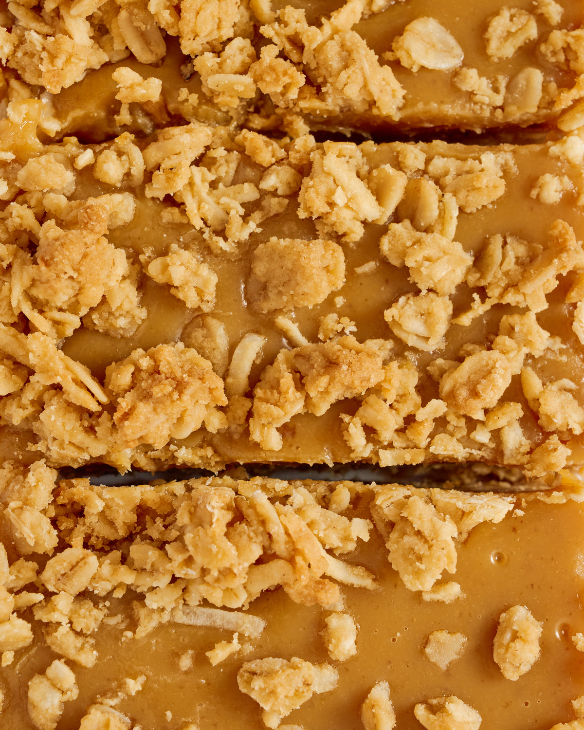 
                  
                    ANZAC Caramel Slice
                  
                